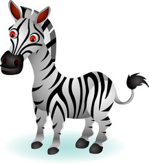 Fototapeta na wymiar funny cartoon zebra