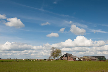 Farmhouse with livestock