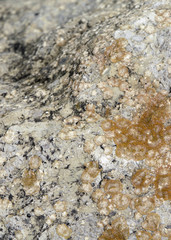stone surface