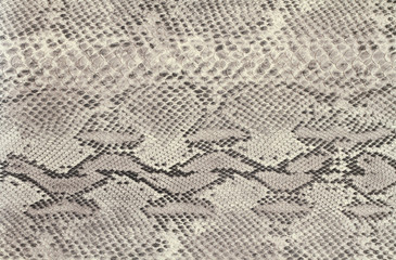 ヘビ柄　年賀状