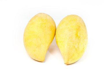 Yellow mango