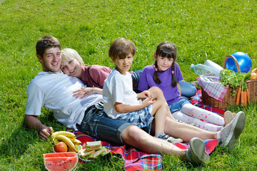 Happy family playing together in a picnic outdoors