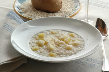 Rice Arroz Riso Riz Hrísgrjón 米 쌀 рис