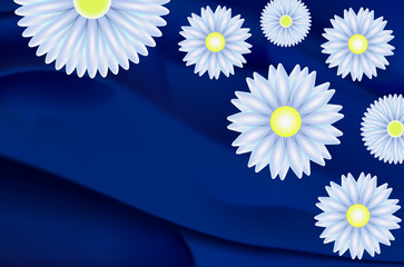 Daisies and marguerites
