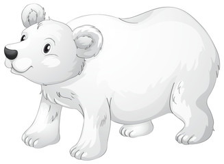 polar bear