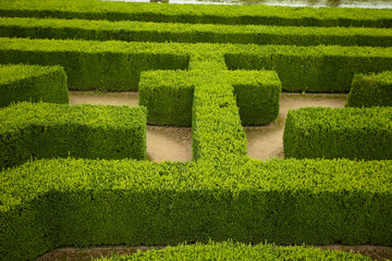 Naklejka premium geometric pattern of green hedge flowerbed
