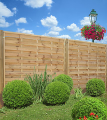 buis taillé devant claustras en bois