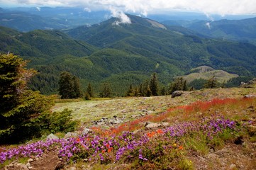 View from the Top of St Marys Mountain