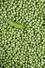 Many pea