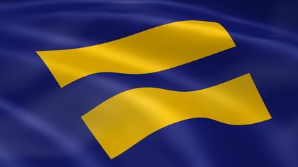 Human rights flag