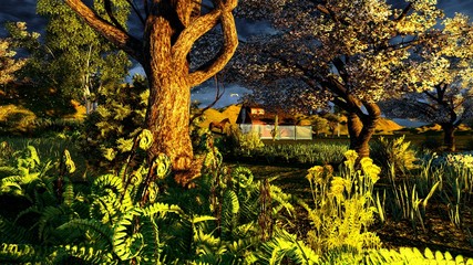 Orchard in early spring time