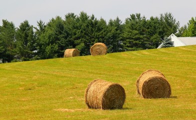 four bales of hay on a new england hillside