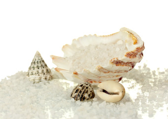 Obraz na płótnie Canvas Sól morska z muszli wyizolowanych na białym bliska