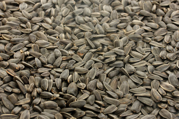 sunflower seeds background