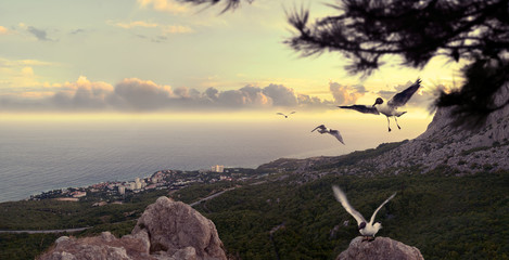 The Black Sea in Crimea