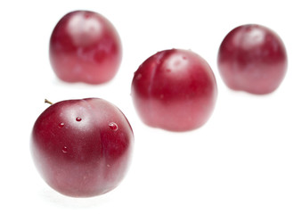 Plum (Plumus)