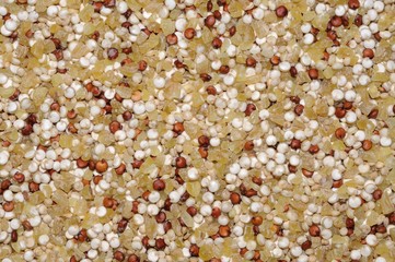 Dried Quinoa seeds and Bulgar Wheat © Arena Photo UK