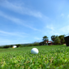 golf-ball on course