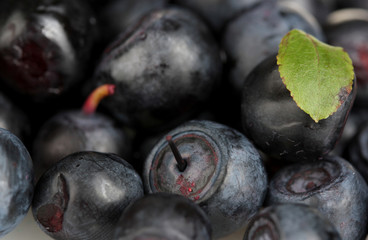 Fresh blueberries background