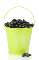 ripe blueberries in green bucket isolated on white