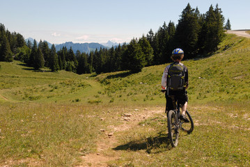 Fototapeta premium A VTT au Crêt de Châtillon