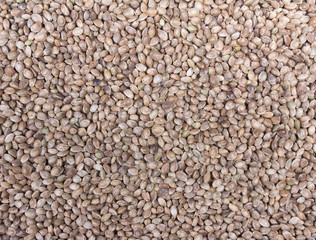 Hempseed background