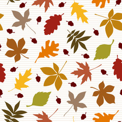 Plakat Liście jesienią kolor i ¯ołędzie Seamless paski wzorców