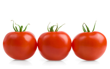 tomatoes