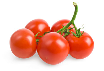 tomatoes