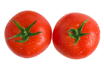 Close-up photo of tomatoes with water drops
