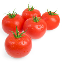 Close-up photo of tomatoes with water drops