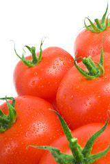 Close-up photo of tomatoes with water drops