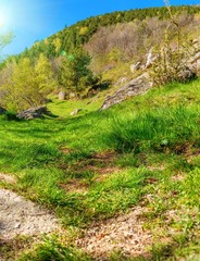 Obraz premium Summer in the mountains