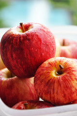 Fototapeta na wymiar Pile of fresh apples