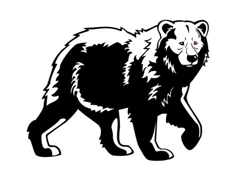 bear black and white