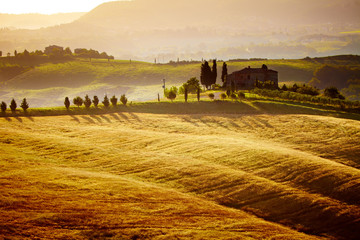 typical Tuscany landscape, Italy - obrazy, fototapety, plakaty