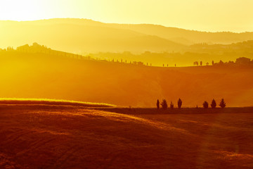 Fototapeta na wymiar obraz typowy krajobraz Toskanii