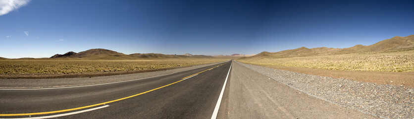 Long way in argentine desert