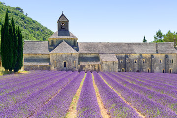 Abbey of Senanque and lavender flowers. Provence, France.