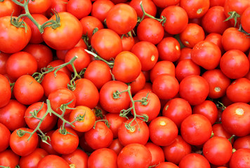red tomatoes