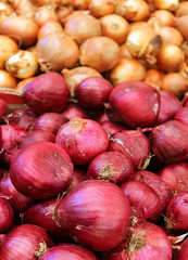 red and white onions