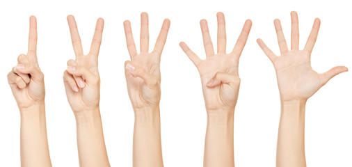 Hand make number collection