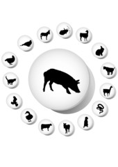 Animals. Vector. Similar images can be found in my gallery.