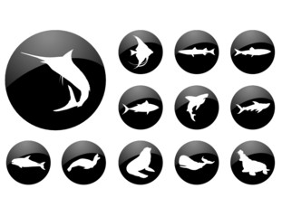 Fish. Vector. Similar images can be found in my gallery.