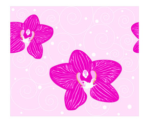 Fototapeta na wymiar Jednolite tło Orchid kwiaty na różowym tle