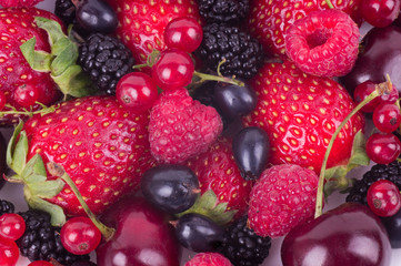 fruit of cherry, strawberry, raspberry, currant