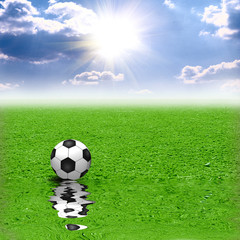 Classic soccer ball on green grass reflecting in water