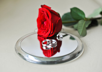Rose on mirror with wedding rings .