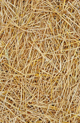 Straw texture background