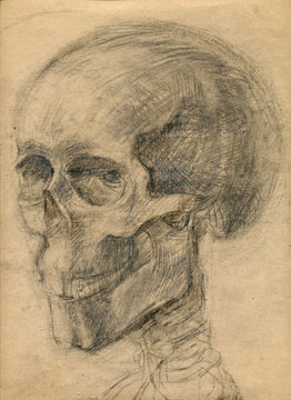 skull, pencil technique